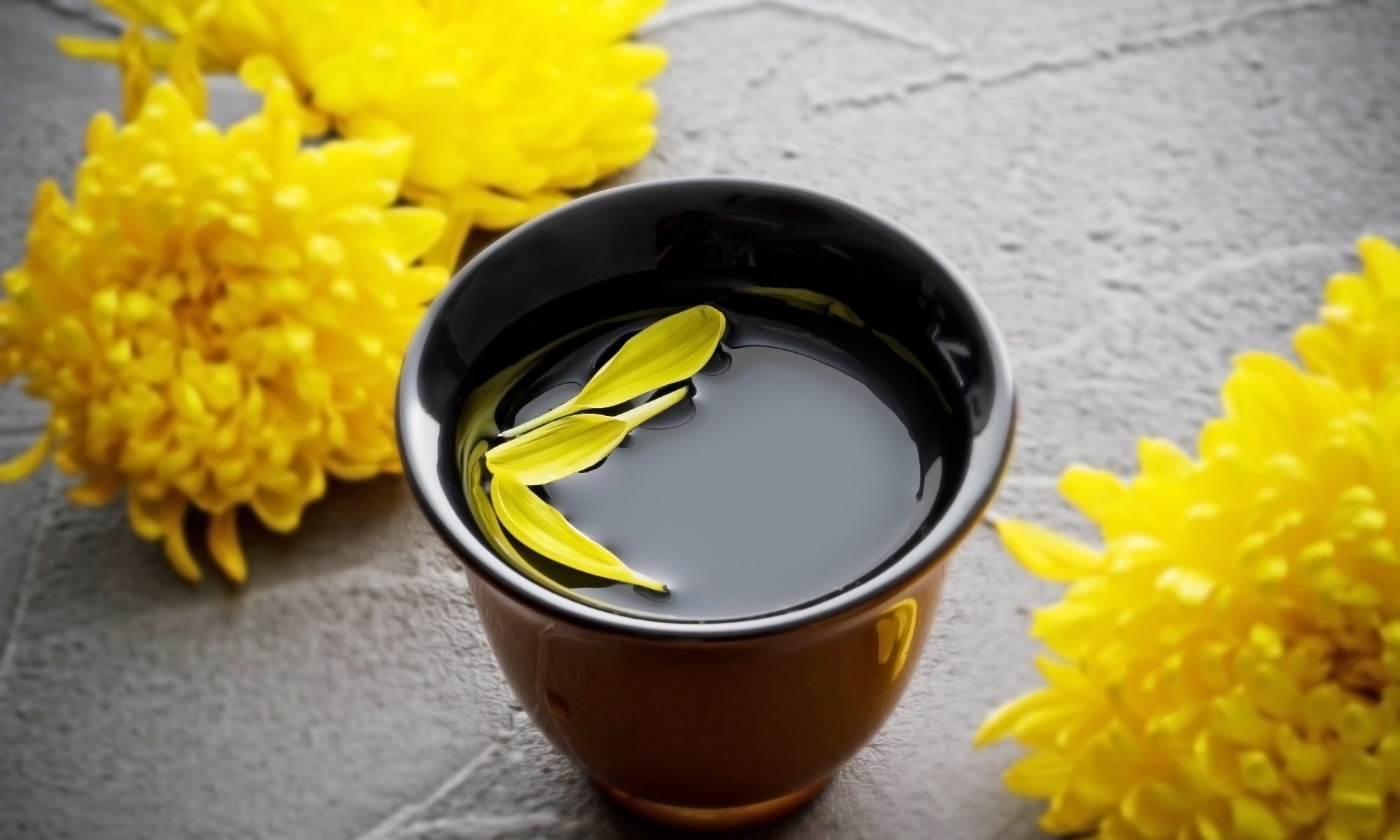 アルファ、ベータ、ガンマ…変異株へのギリシャ文字使用には、理由がある。 – ブログ｜菊正宗ネットショップ